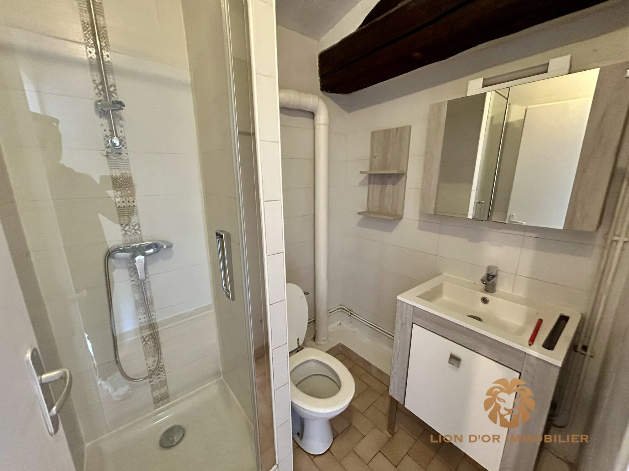 Appartement T3 à Villefranche-sur-Saône avec cave et locataire en place 