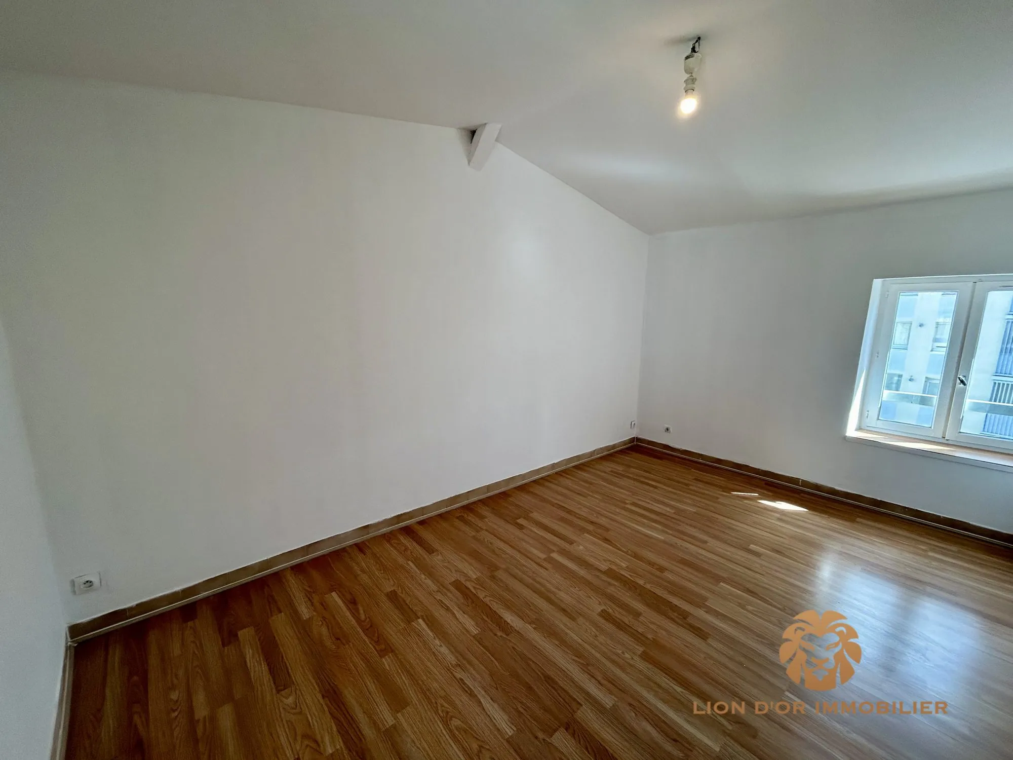 Appartement T3 à Villefranche-sur-Saône avec cave et locataire en place 
