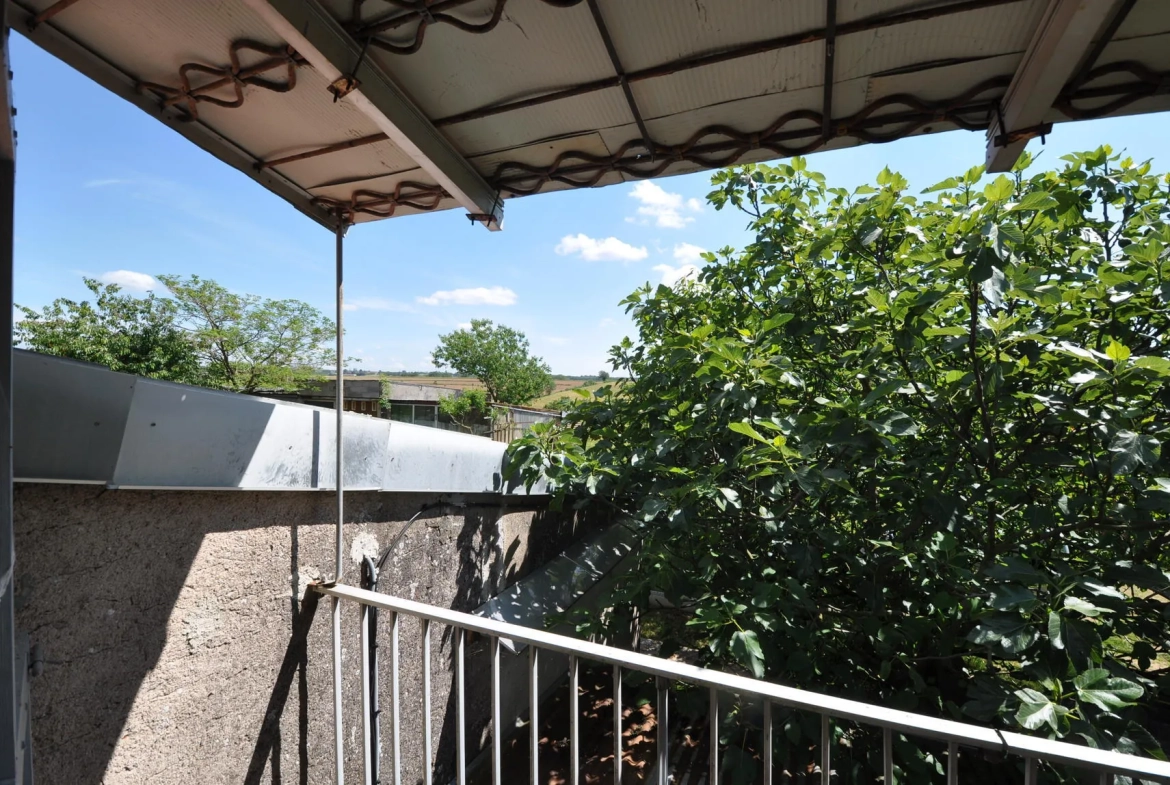 Maison de campagne à vendre proche d'Albi avec terrain et dépendances 