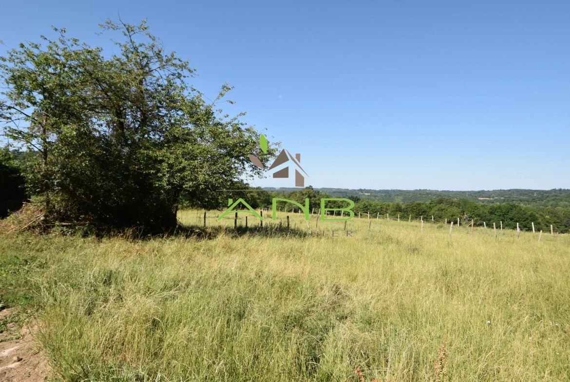 Grande propriété à rénover avec terrain dans le Périgord Vert - Potentiel résidentiel ou équestre 