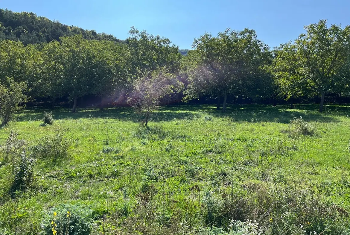 Terrain constructible de 768 m² à Gap - Opportunité à saisir 