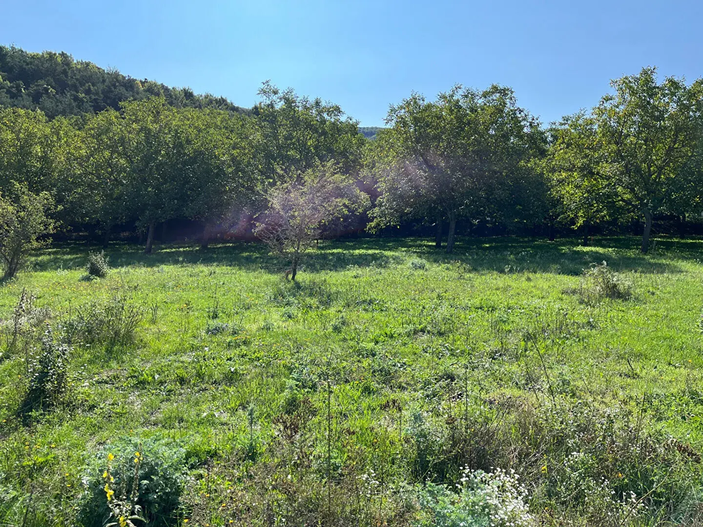 Terrain constructible de 768 m² à Gap - Opportunité à saisir 