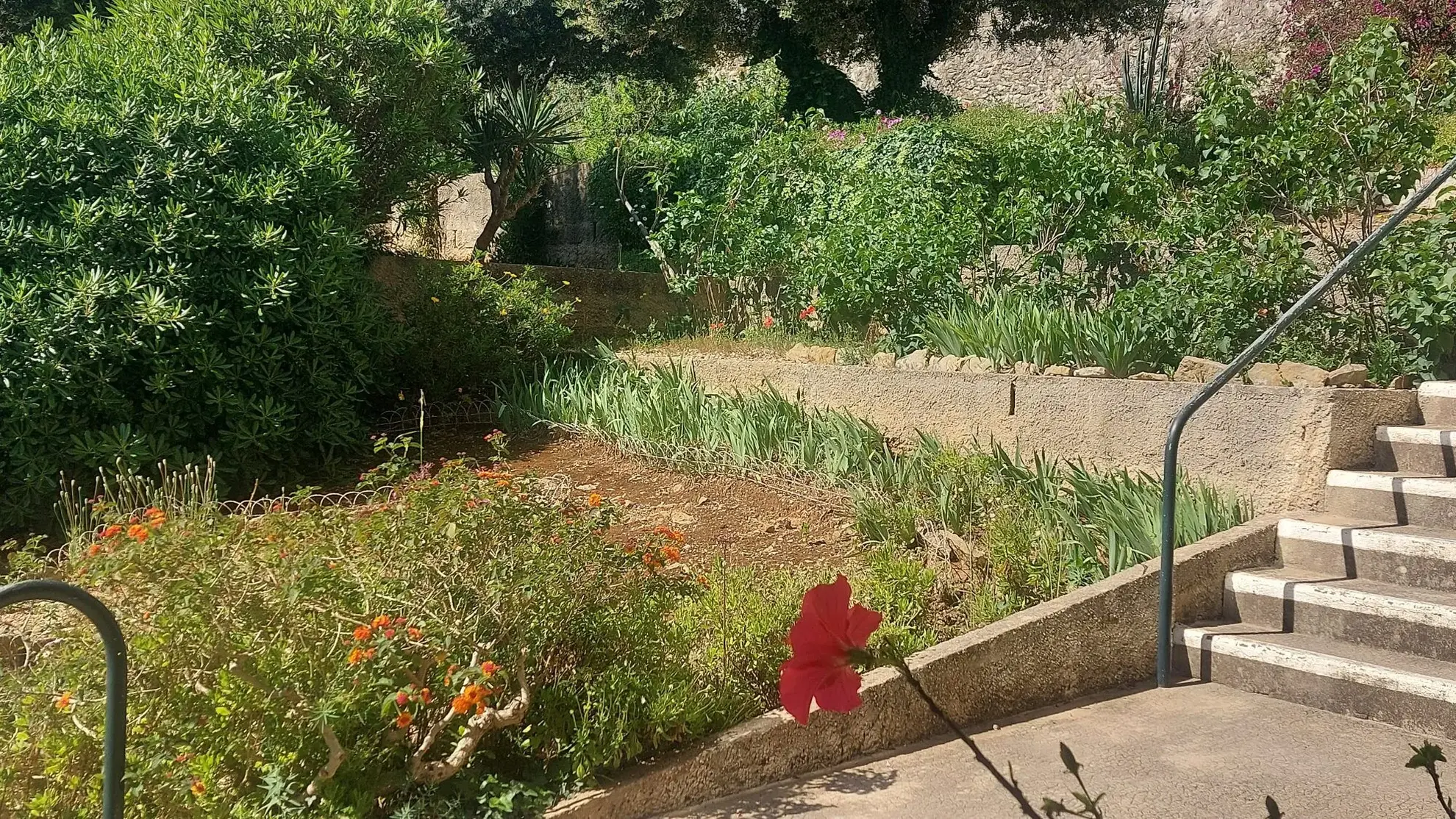 Appartement T3 avec Vue Mer à La Ciotat - 55 m² 
