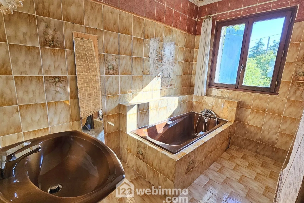Maison familiale avec dépendances, piscine et grand terrain à Boulancourt 