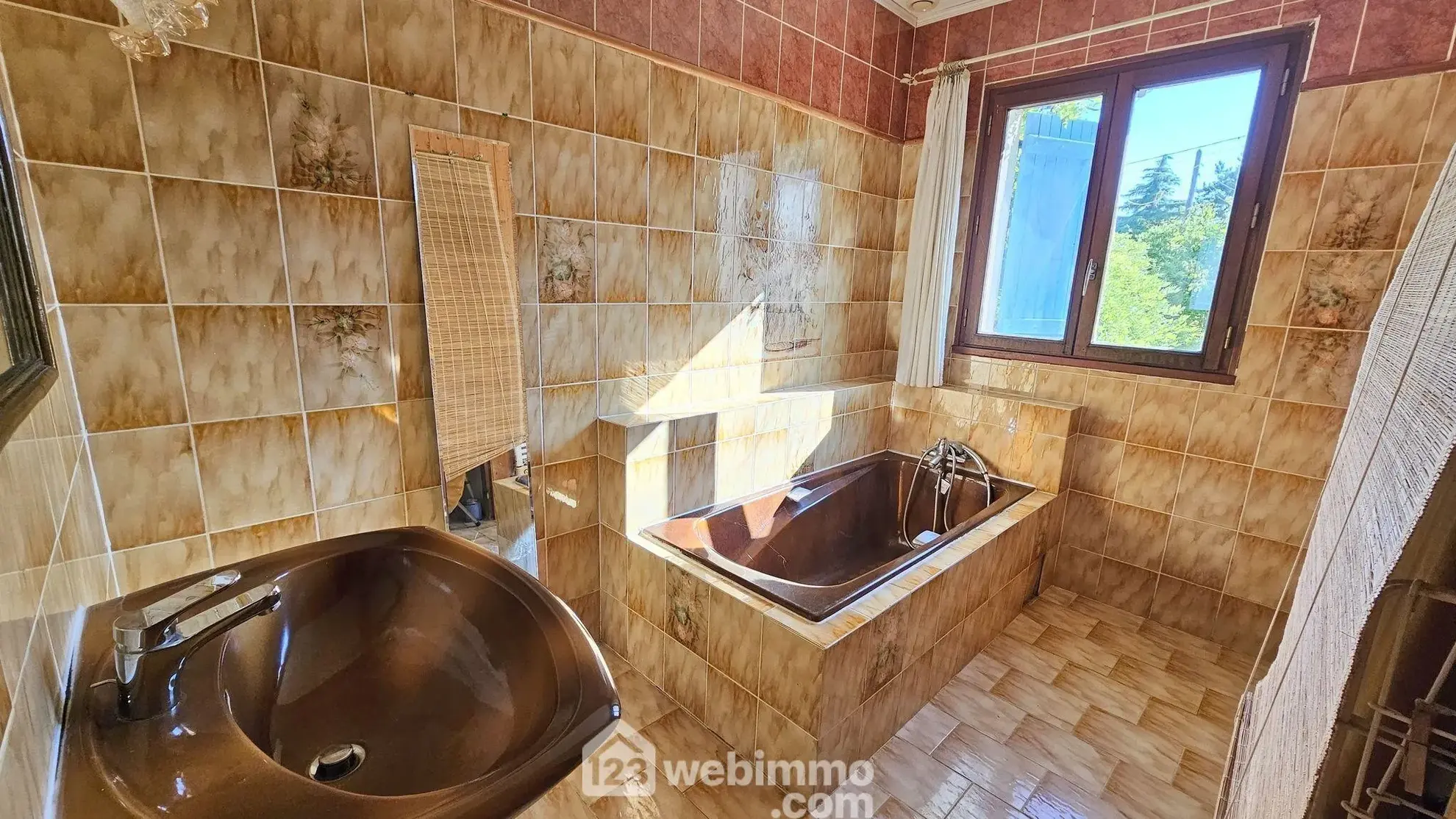 Maison familiale avec dépendances, piscine et grand terrain à Boulancourt 