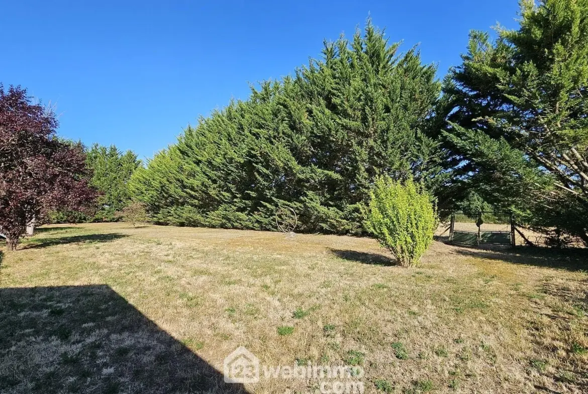 Maison familiale avec dépendances, piscine et grand terrain à Boulancourt 
