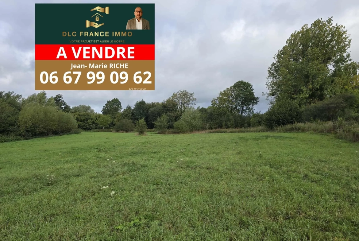 Terrain à vendre à Grand-Fayt de 1,18 hectare en bord de rivière Helpe mineure 