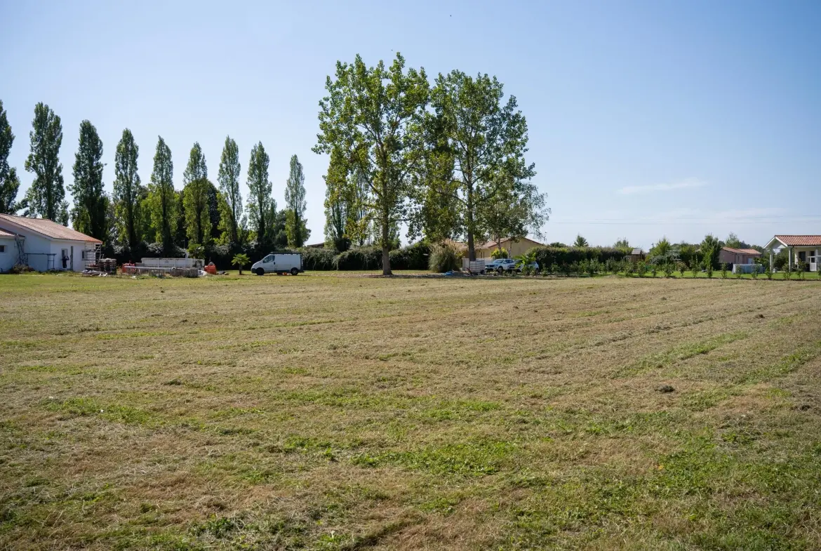 Maison neuve 2 chambres avec grand terrain à Latrille dans les Landes 