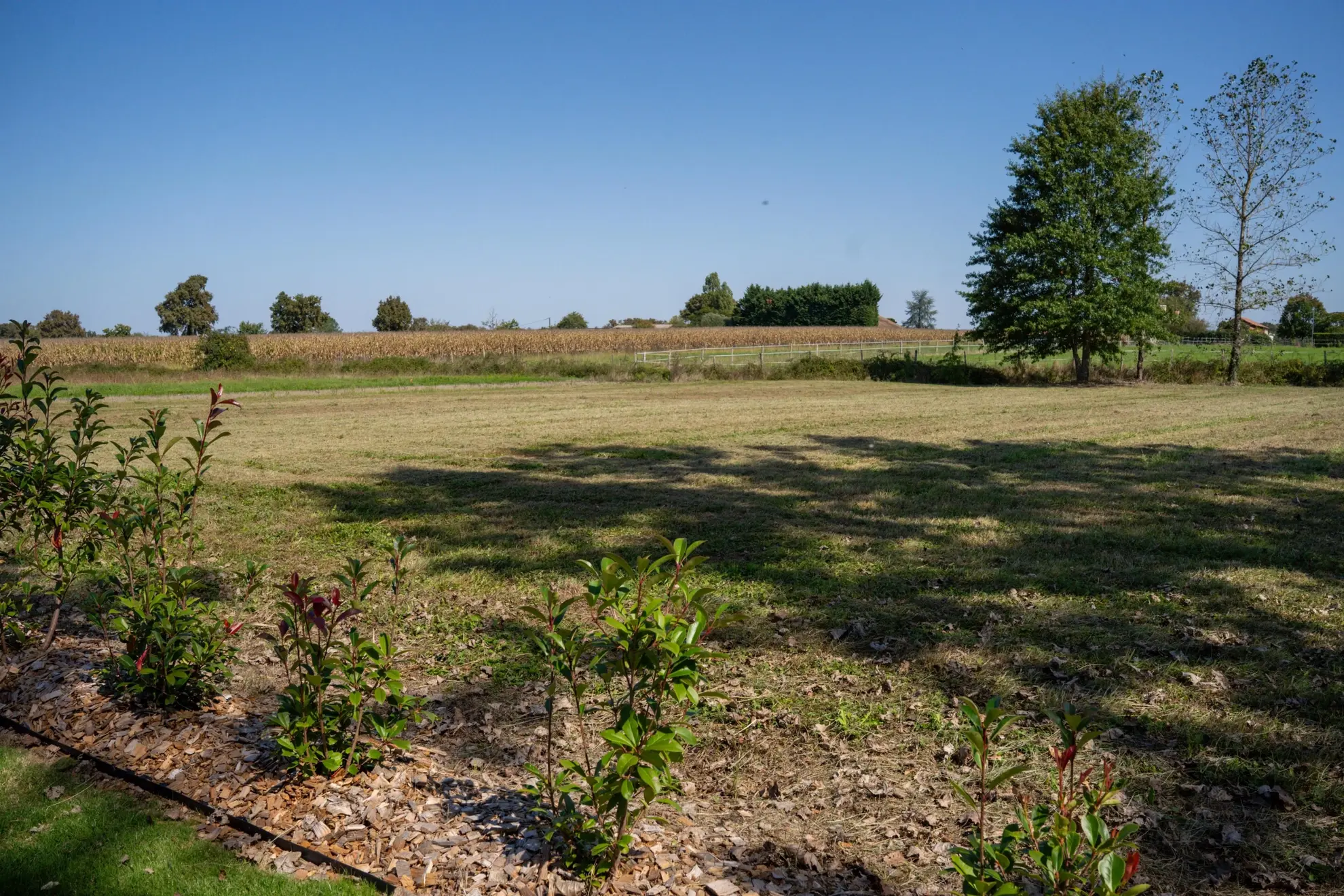Maison neuve 2 chambres avec grand terrain à Latrille dans les Landes 