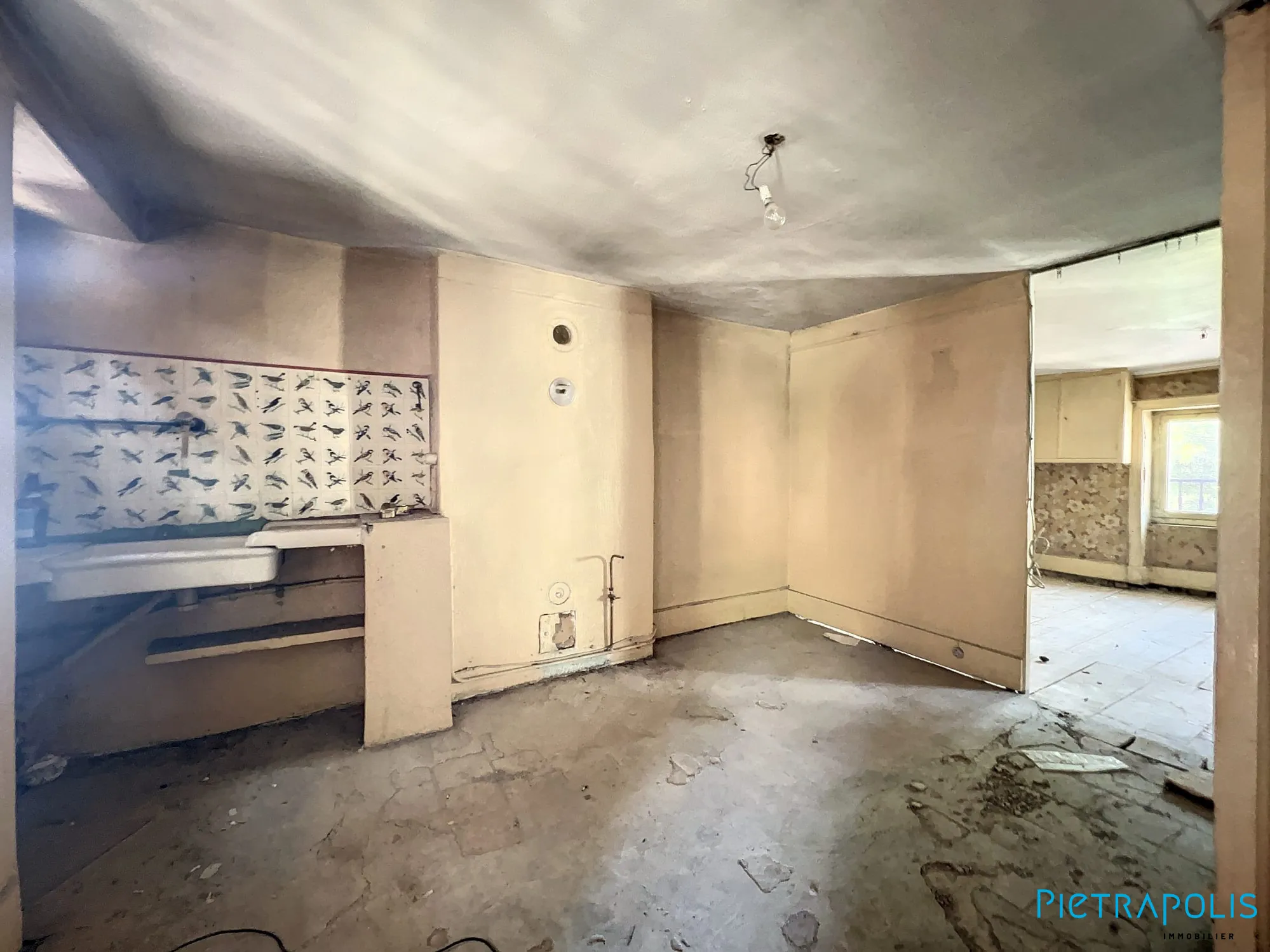 Maison de ville à Tarare avec duplex, caves et local, idéale pour grands projets ou famille 