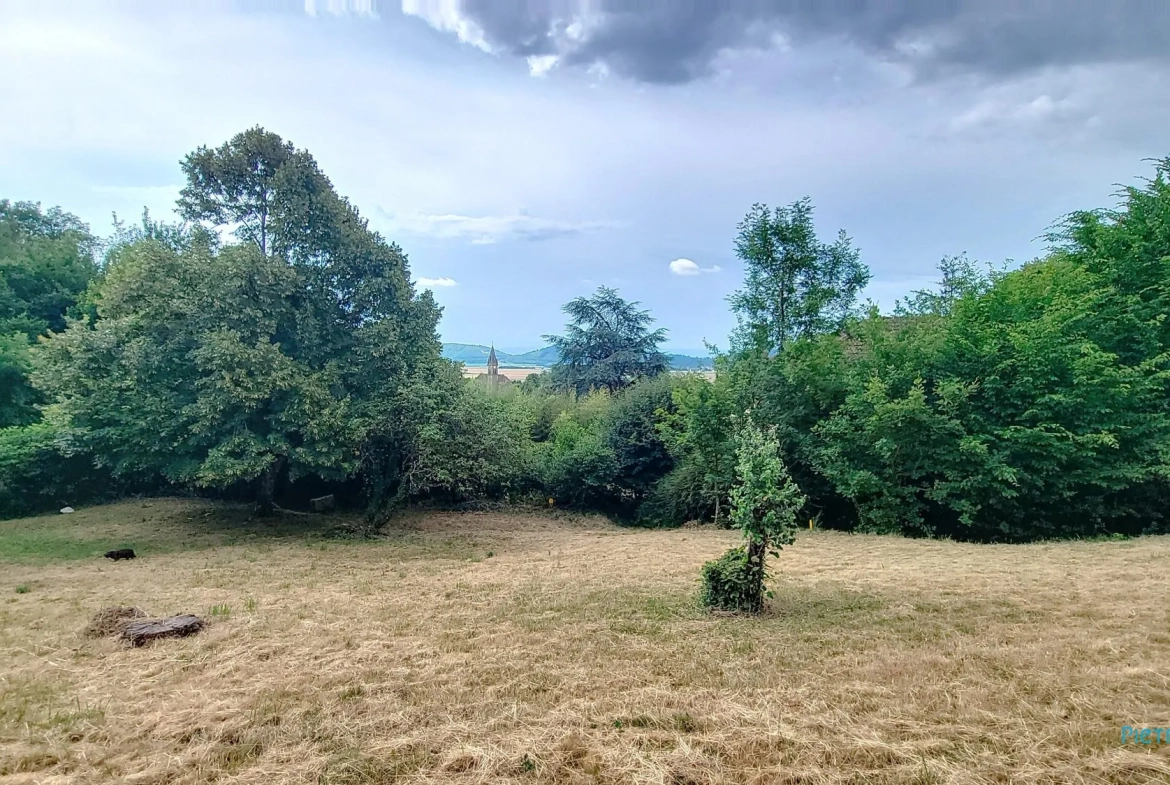Terrain constructible de 981 m² à Semons avec vue dégagée 