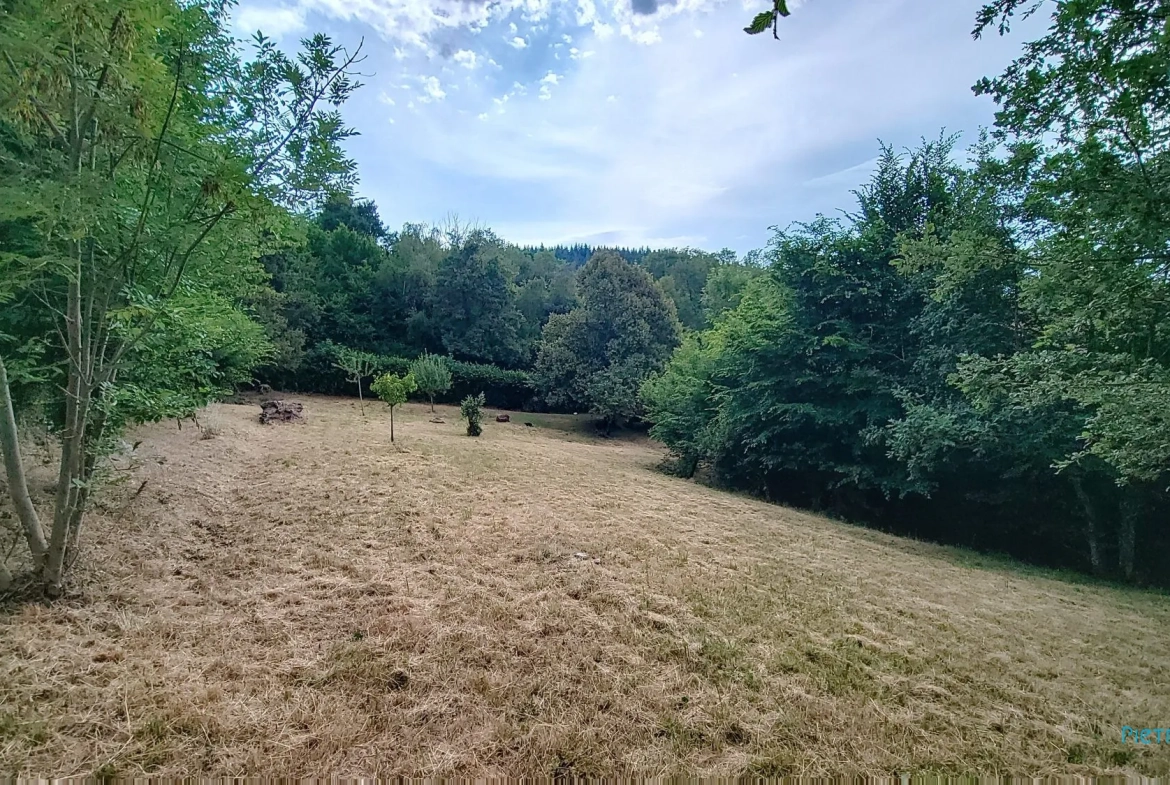 Terrain constructible de 981 m² à Semons avec vue dégagée 