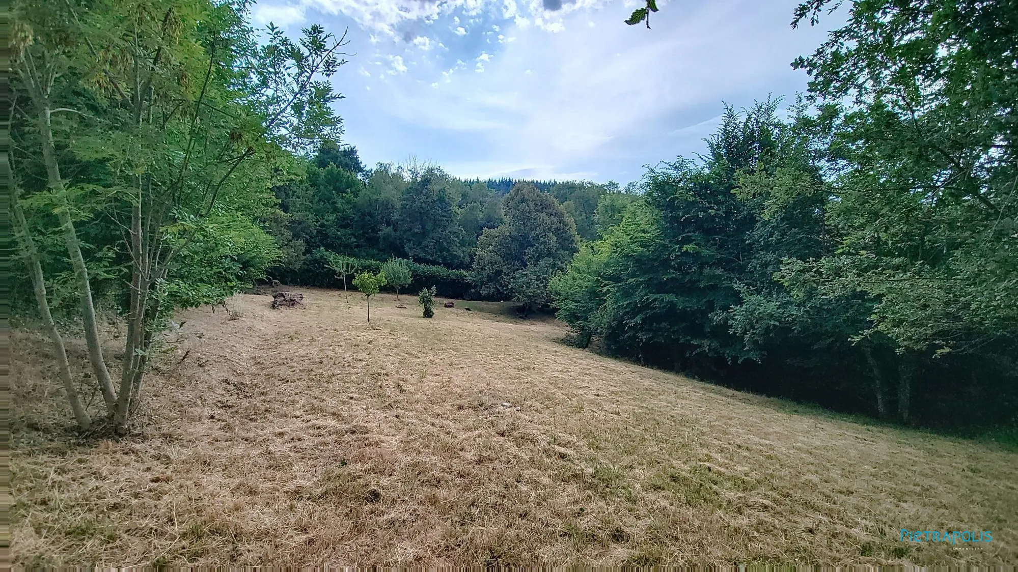 Terrain constructible de 981 m² à Semons avec vue dégagée 