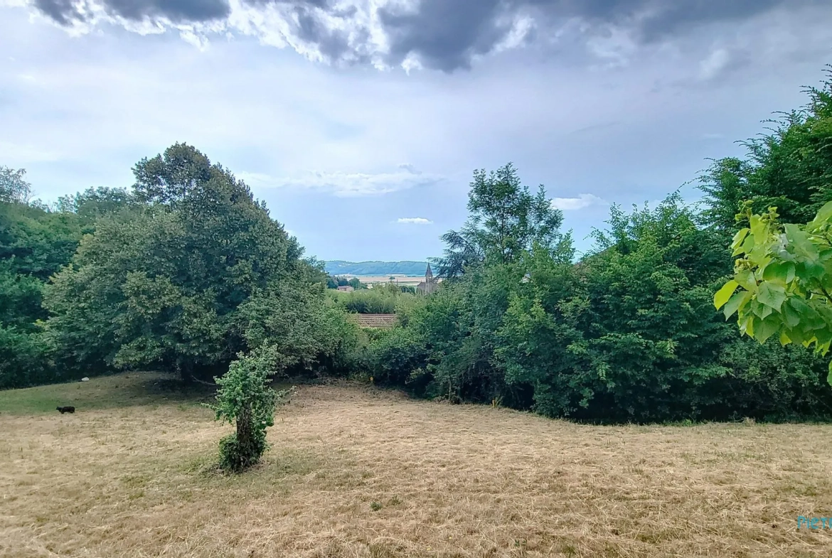 Terrain constructible de 981 m² à Semons avec vue dégagée 