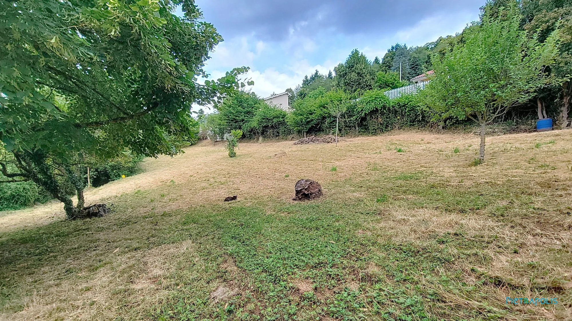 Terrain constructible de 981 m² à Semons avec vue dégagée 
