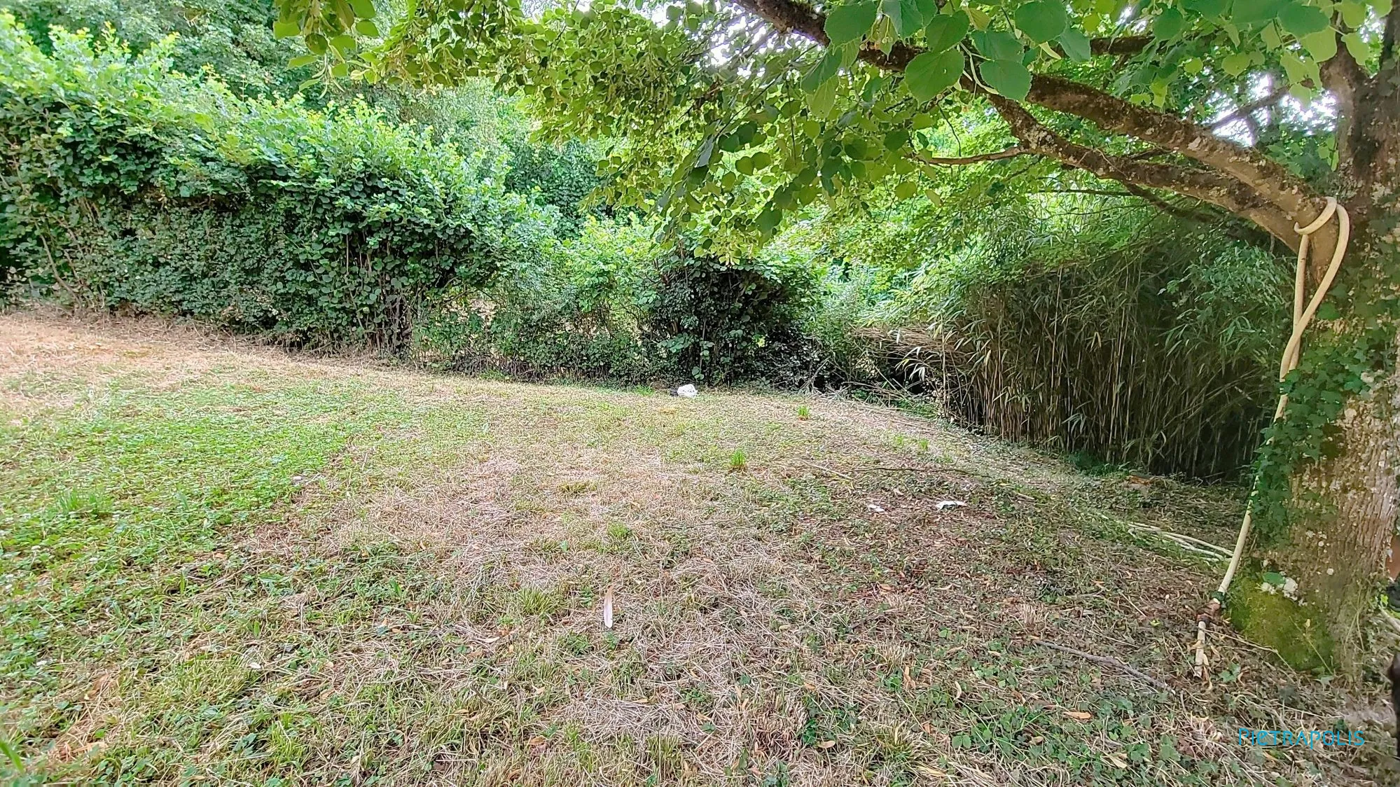 Terrain constructible de 981 m² à Semons avec vue dégagée 