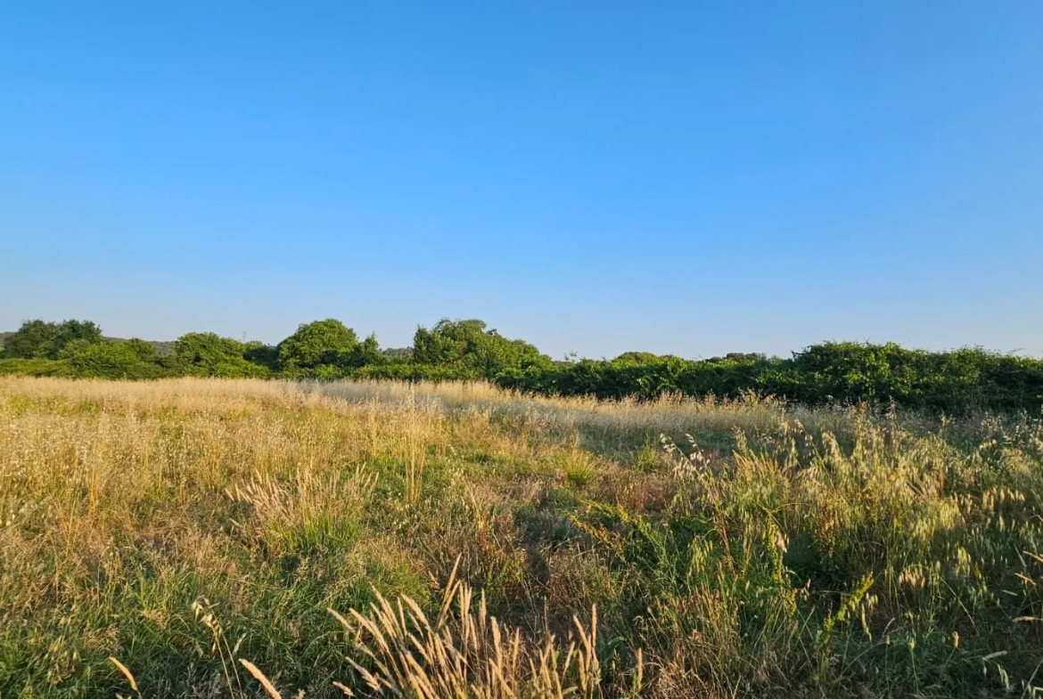 Terrain constructible proche de Sommières avec vue dégagée et potentiel élevé 