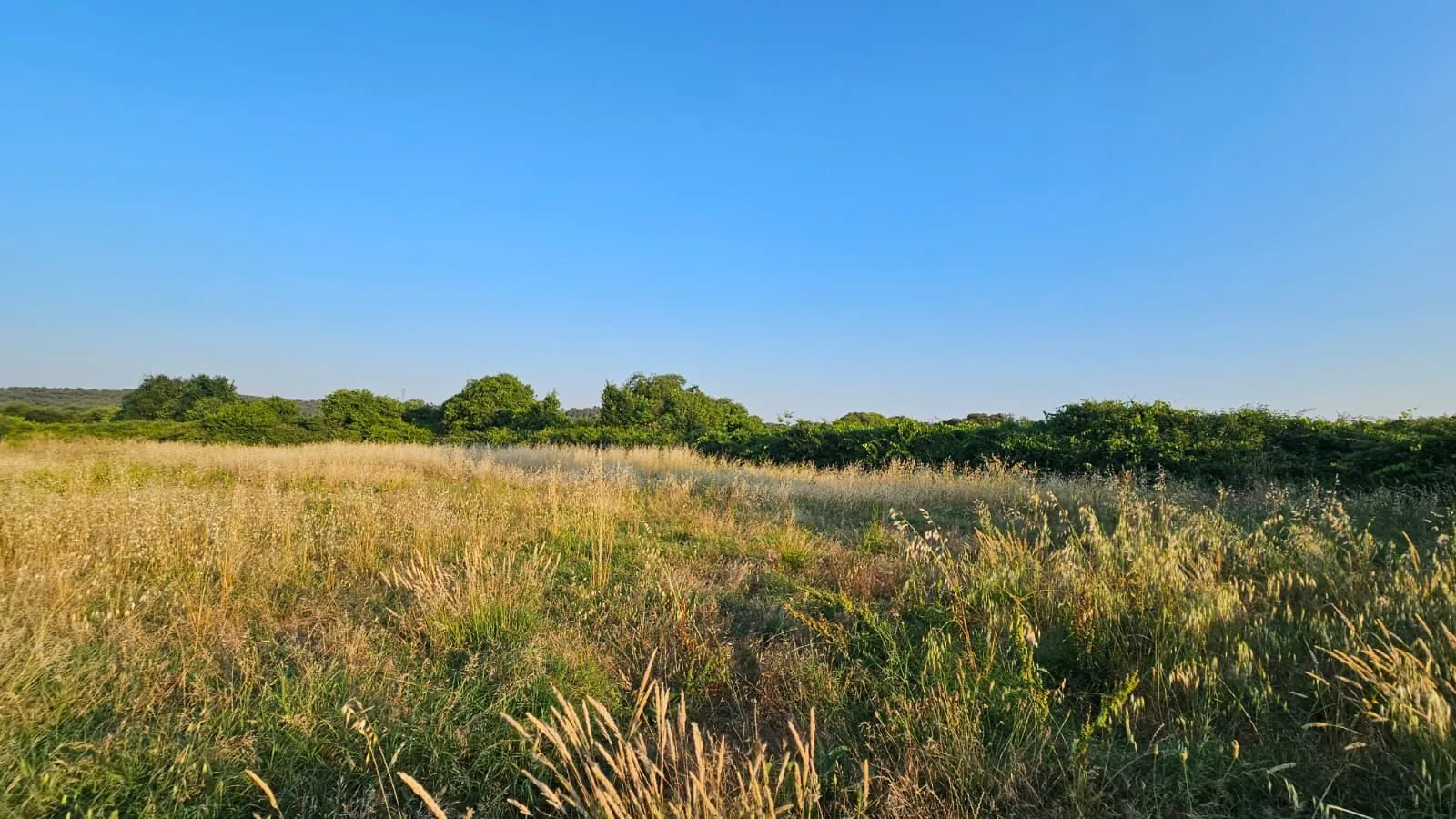 Terrain constructible proche de Sommières avec vue dégagée et potentiel élevé 