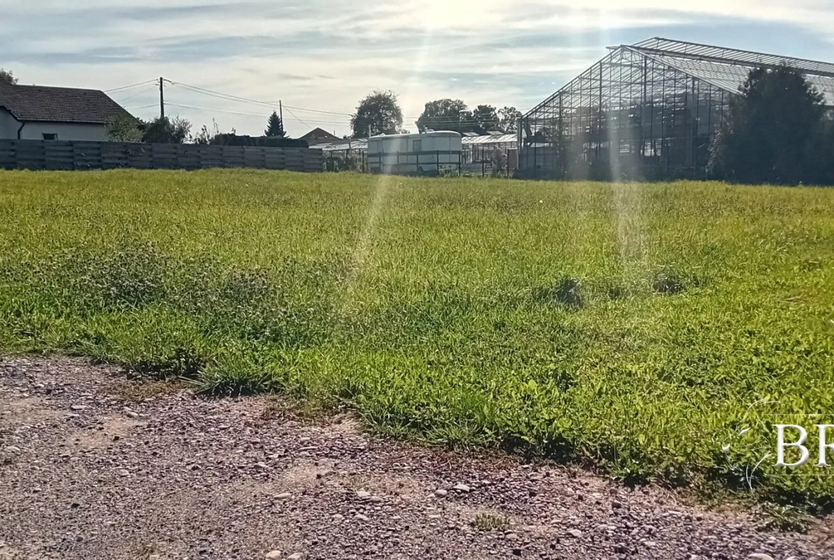 Terrain à bâtir de 3 286 m² à proximité d'Épinal et Bruyères 