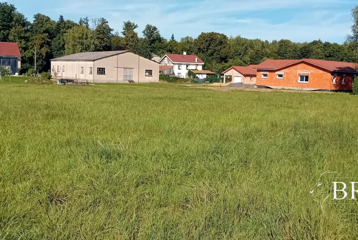 Terrain à bâtir de 3 286 m² à proximité d'Épinal et Bruyères 