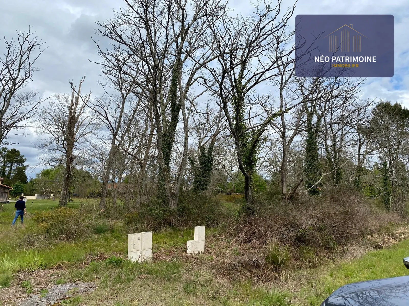 Terrain constructible et viabilisé à Luxey (40) - Opportunité, calme et liberté de construire 