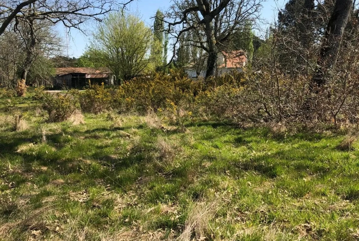 Terrain constructible et viabilisé à Luxey (40) - Opportunité, calme et liberté de construire 