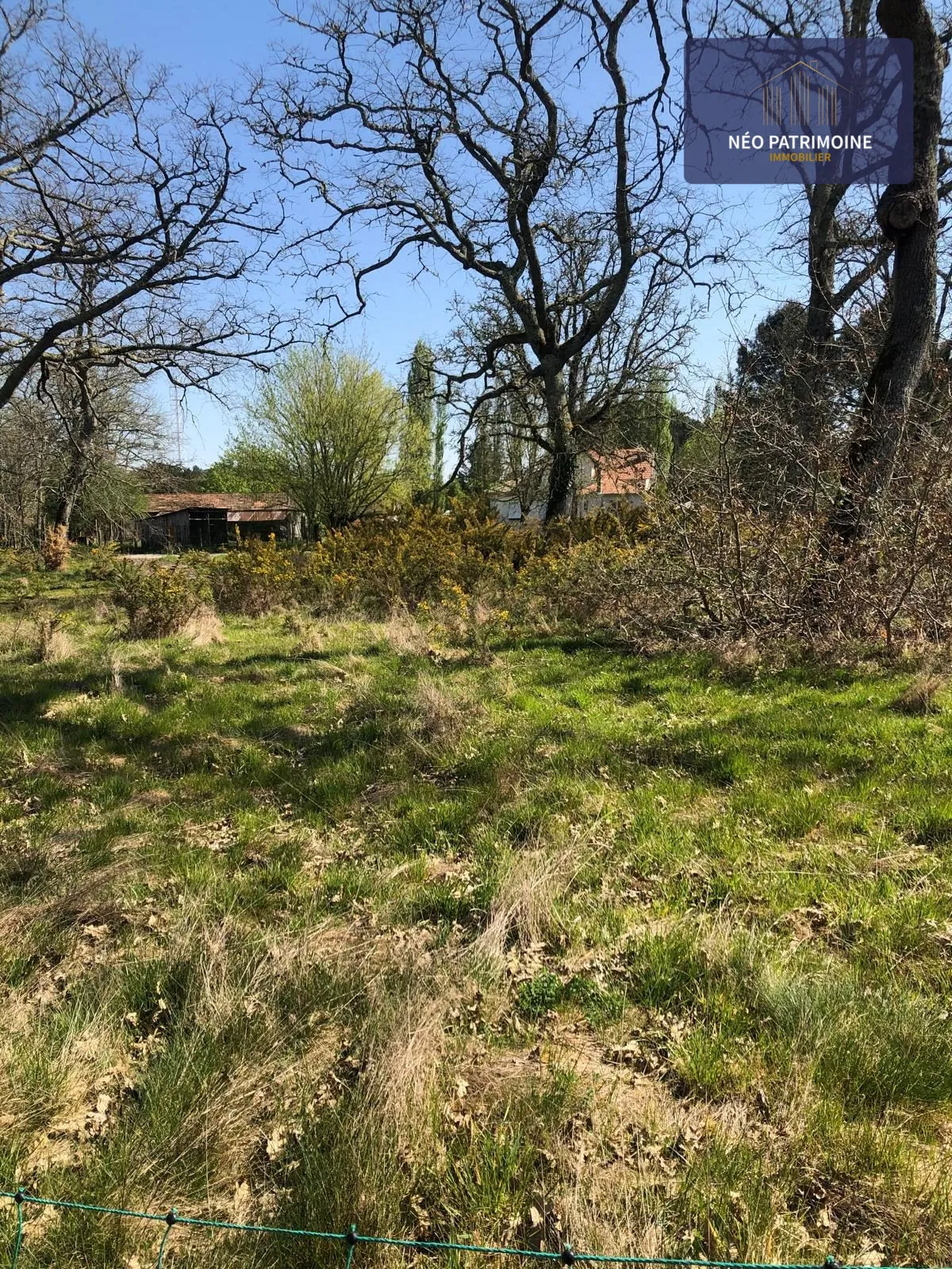 Terrain constructible et viabilisé à Luxey (40) - Opportunité, calme et liberté de construire 