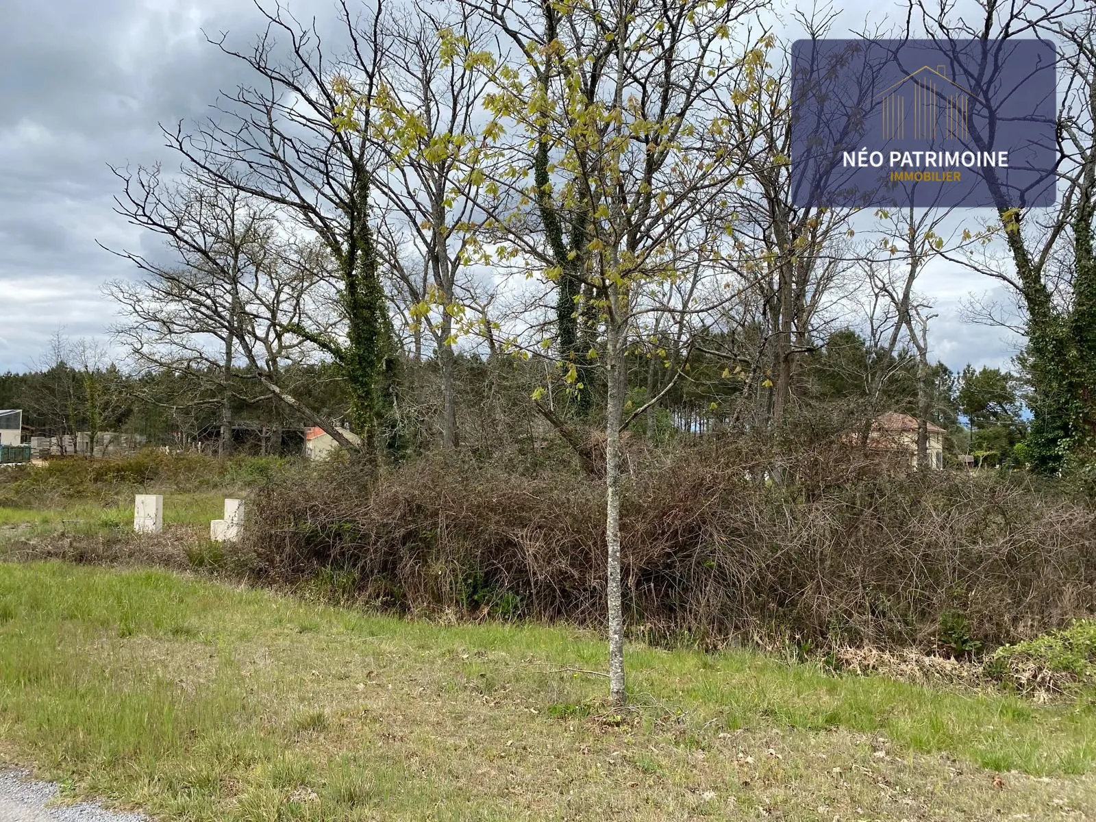 Terrain constructible et viabilisé à Luxey (40) - Opportunité, calme et liberté de construire 