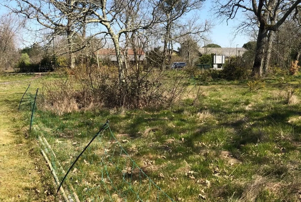 Terrain constructible et viabilisé à Luxey (40) - Opportunité, calme et liberté de construire 
