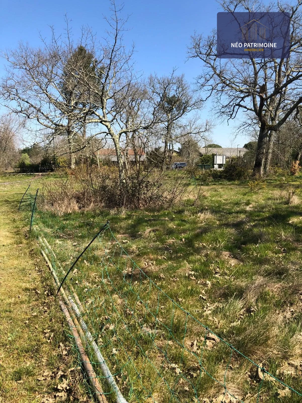 Terrain constructible et viabilisé à Luxey (40) - Opportunité, calme et liberté de construire 