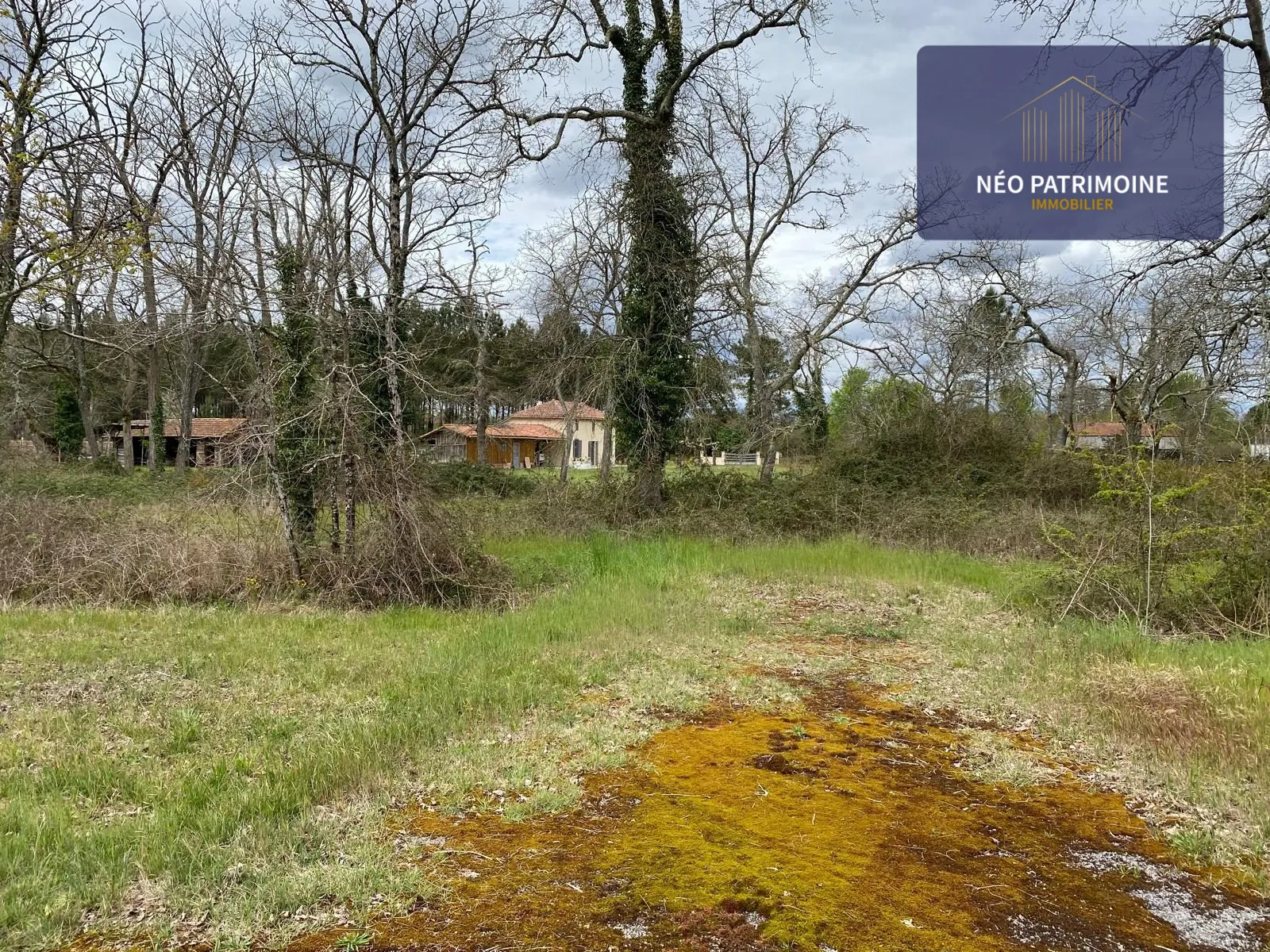 Terrain constructible et viabilisé à Luxey (40) - Opportunité, calme et liberté de construire 