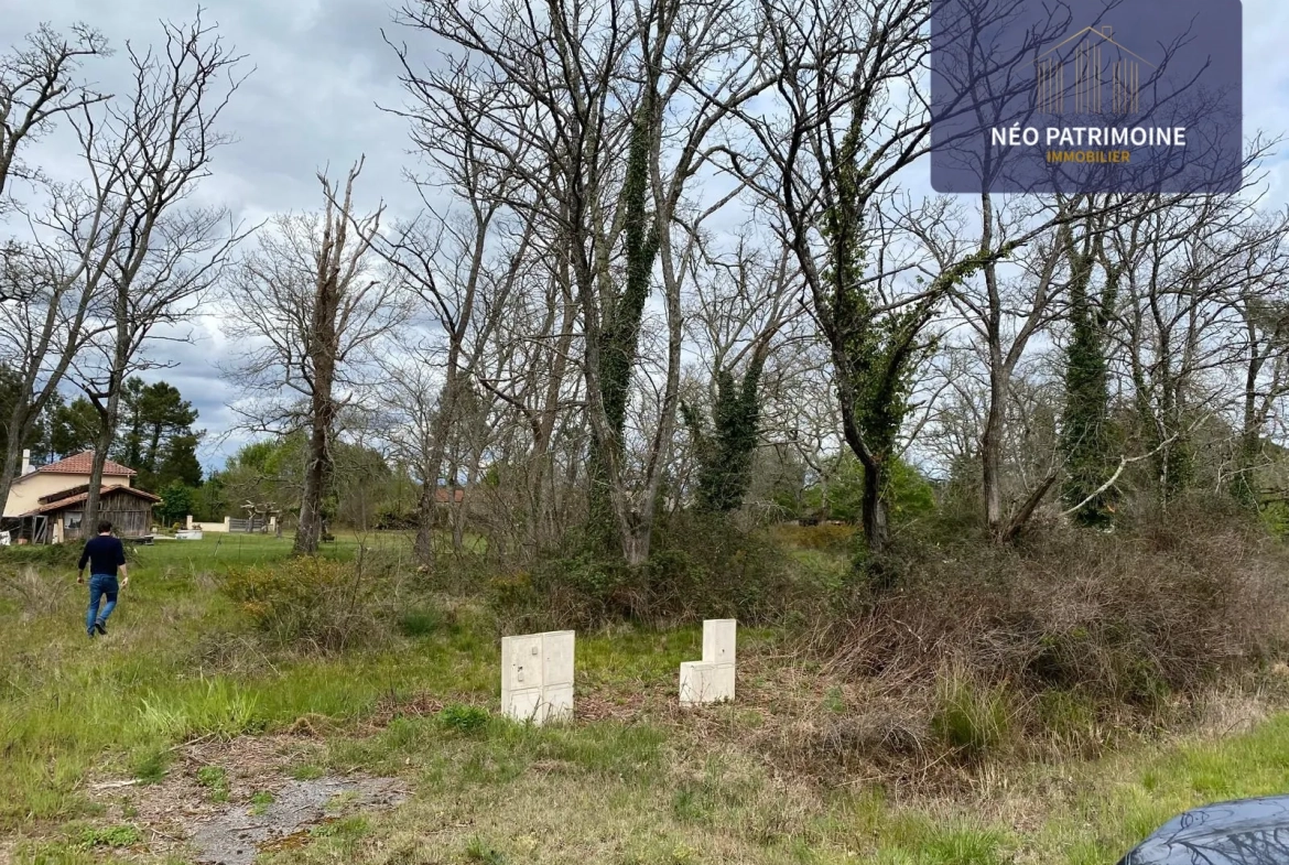 Terrain constructible et viabilisé à Luxey (40) - Opportunité, calme et liberté de construire 