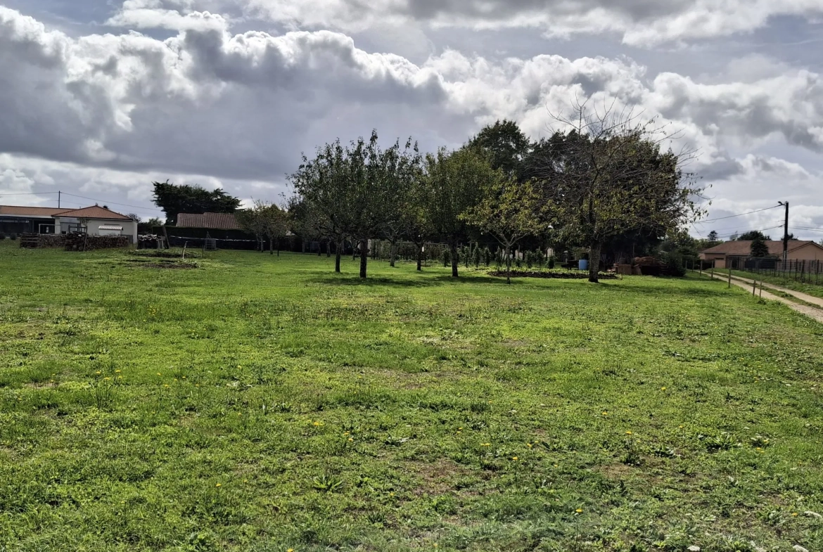 Terrain constructible non viabilisé à Saint-Adjutory, 2000 m² en campagne calme 