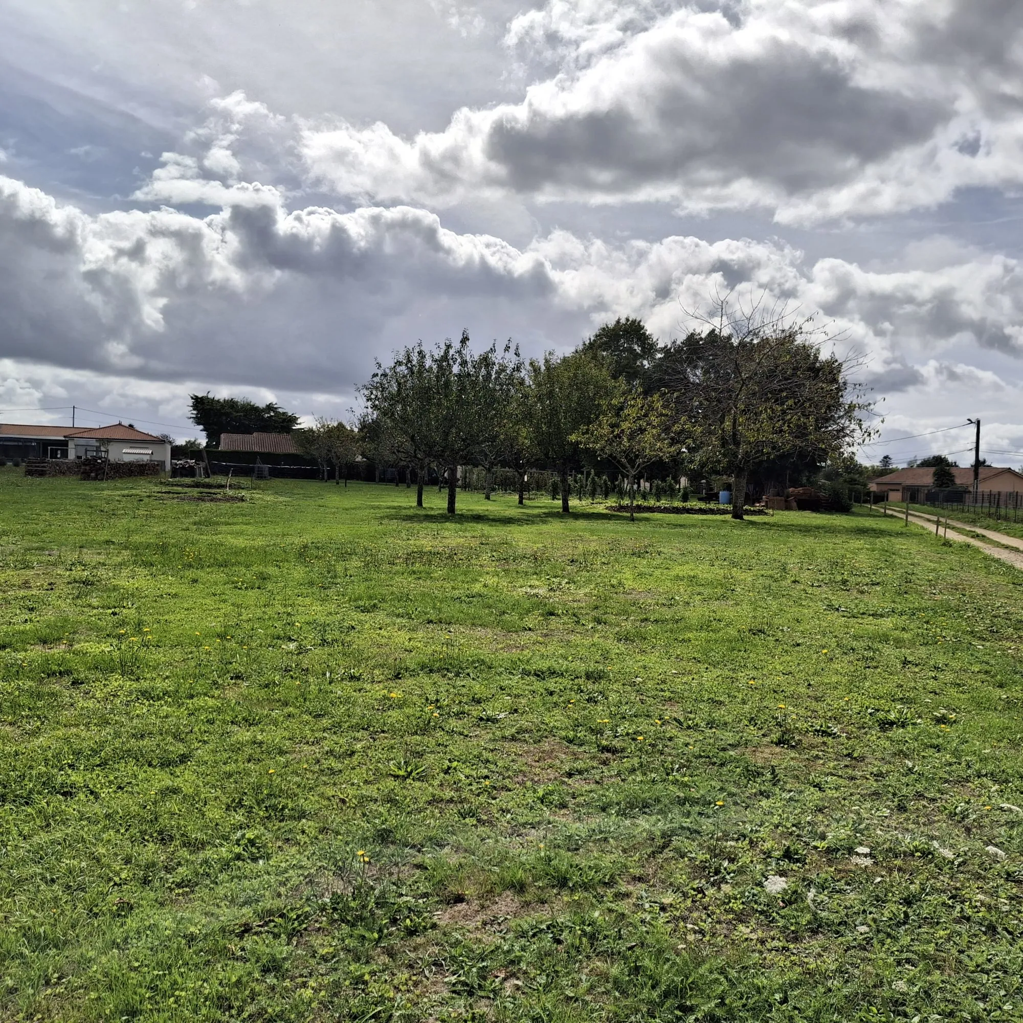 Terrain constructible non viabilisé à Saint-Adjutory, 2000 m² en campagne calme 