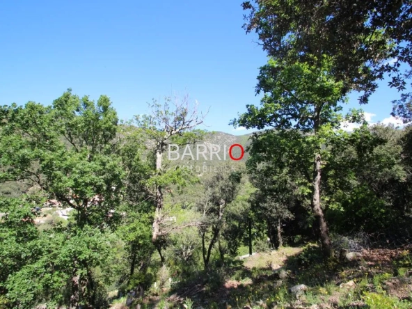 Terrain de 1870 m² à Sorède - Liberté de construction et vue exceptionnelle