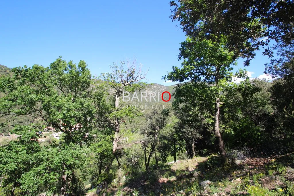 Terrain de 1870 m² à Sorède - Liberté de construction et vue exceptionnelle 