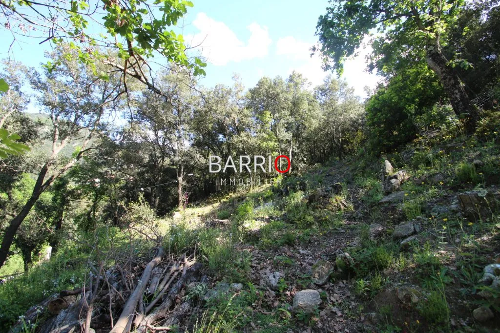 Terrain de 1870 m² à Sorède - Liberté de construction et vue exceptionnelle 
