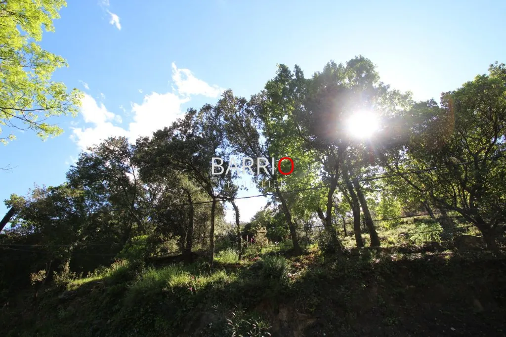 Terrain de 1870 m² à Sorède - Liberté de construction et vue exceptionnelle 