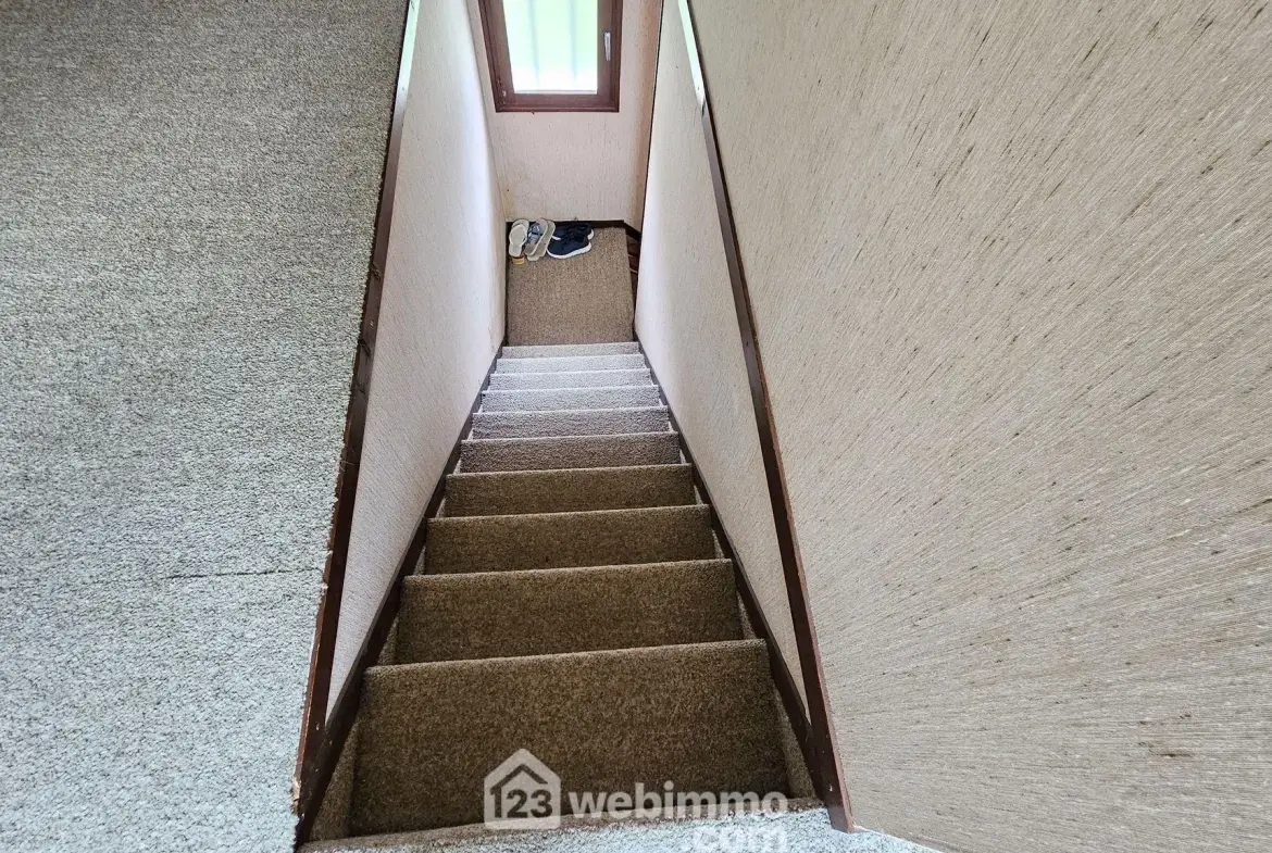 Maison à vendre de 108 m² à Treuzy-Levelay, proche Nemours, idéal pour rénovation avec grand terrain 