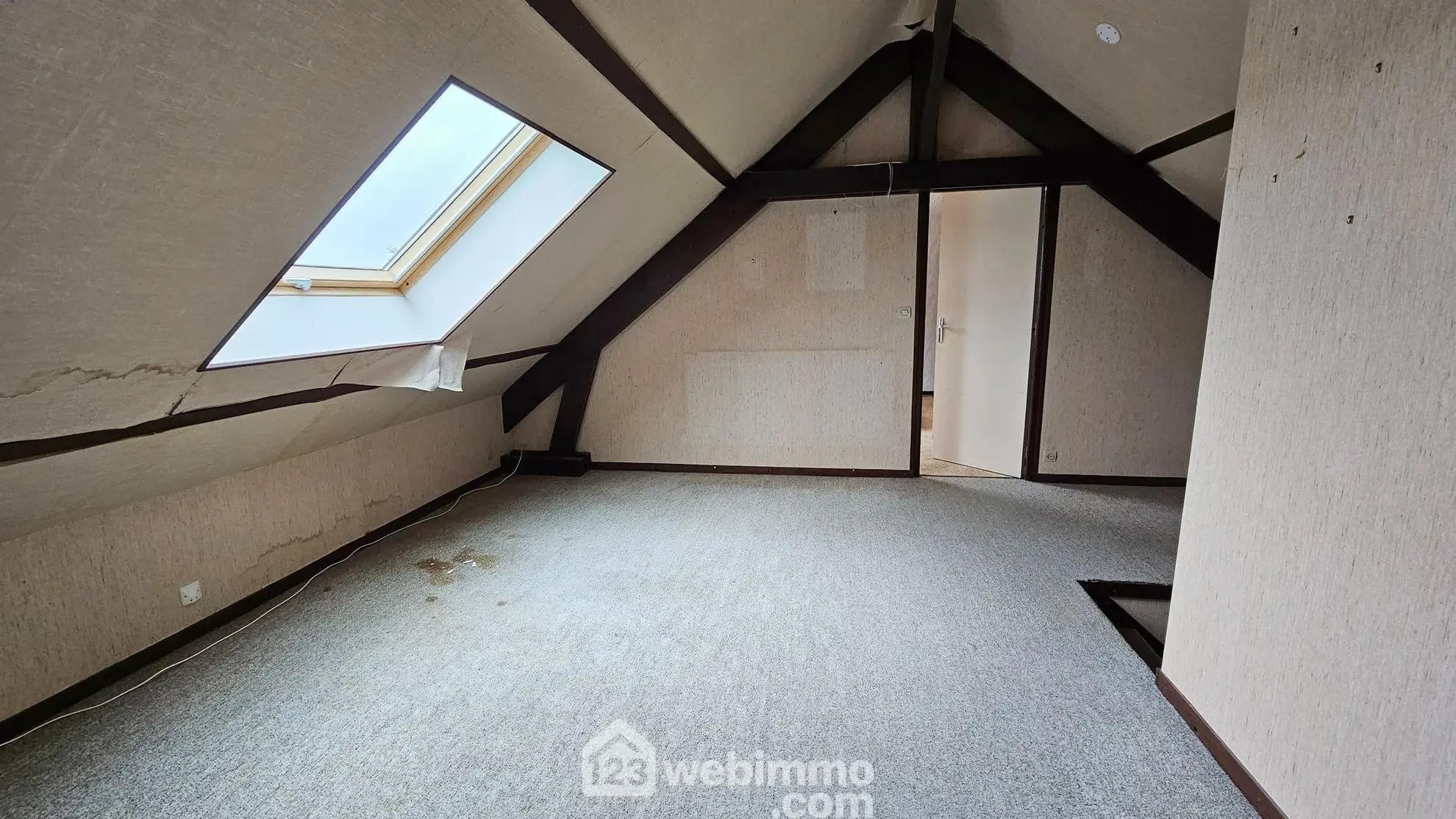 Maison à vendre de 108 m² à Treuzy-Levelay, proche Nemours, idéal pour rénovation avec grand terrain 