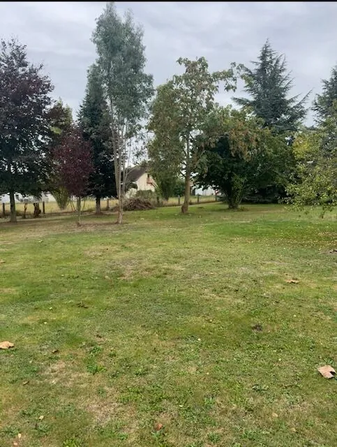 Terrain à bâtir de 1563 m² à Jumièges - Calme et proximité des commodités 