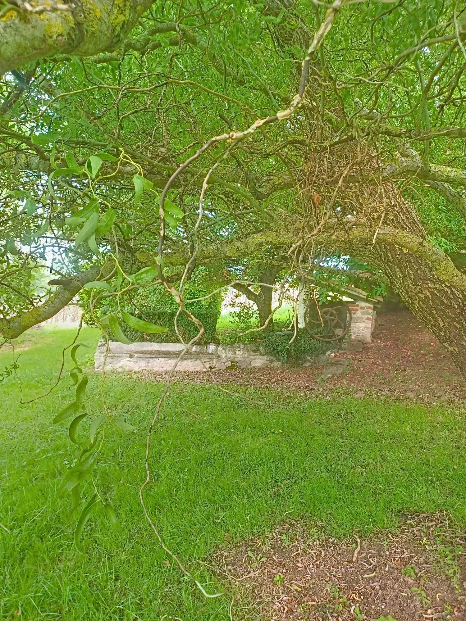 Belle maison T5 avec grand jardin et vue campagne à Lautrec 