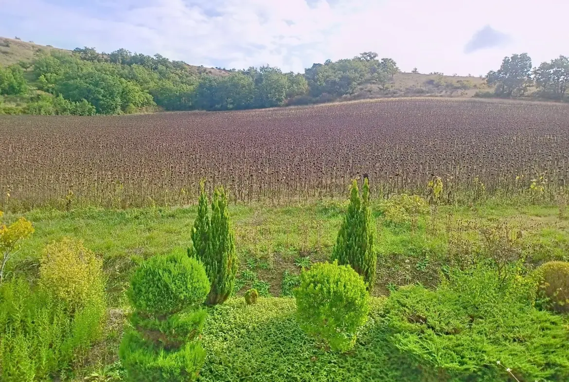 Belle maison T5 avec grand jardin et vue campagne à Lautrec 