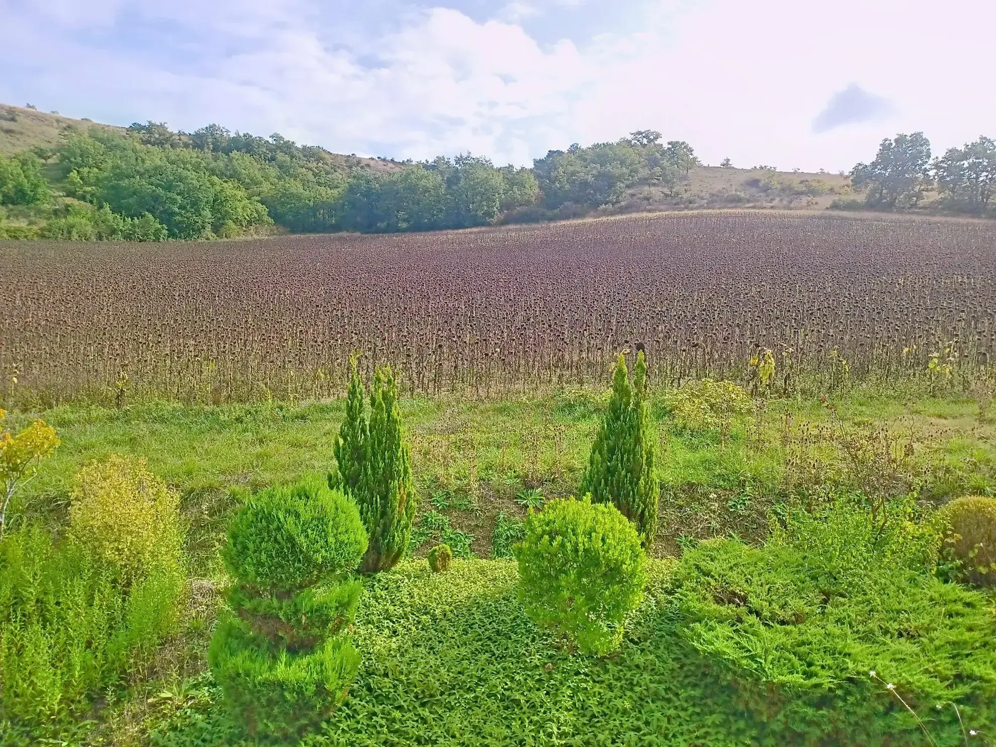 Belle maison T5 avec grand jardin et vue campagne à Lautrec 