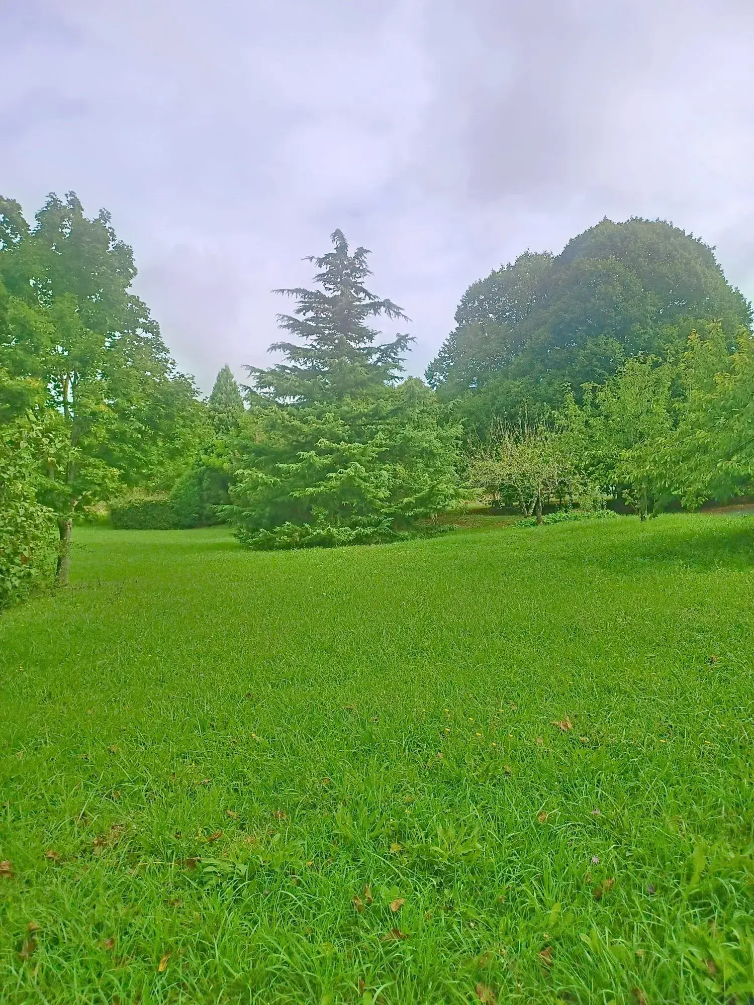 Belle maison T5 avec grand jardin et vue campagne à Lautrec 