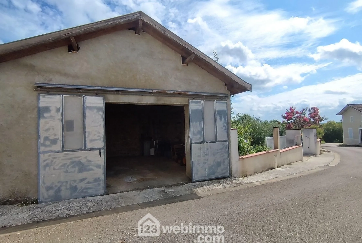 Maison lumineuse de 119 m² avec jardin et potentiel locatif à Hagetmau 