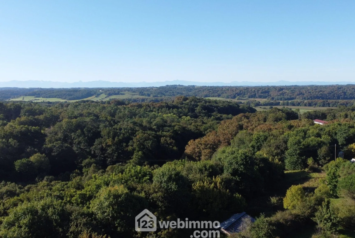 Maison lumineuse de 119 m² avec jardin et potentiel locatif à Hagetmau 