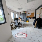 Maison avec espace professionnel, piscine et terrain clos à Château-Thébaud