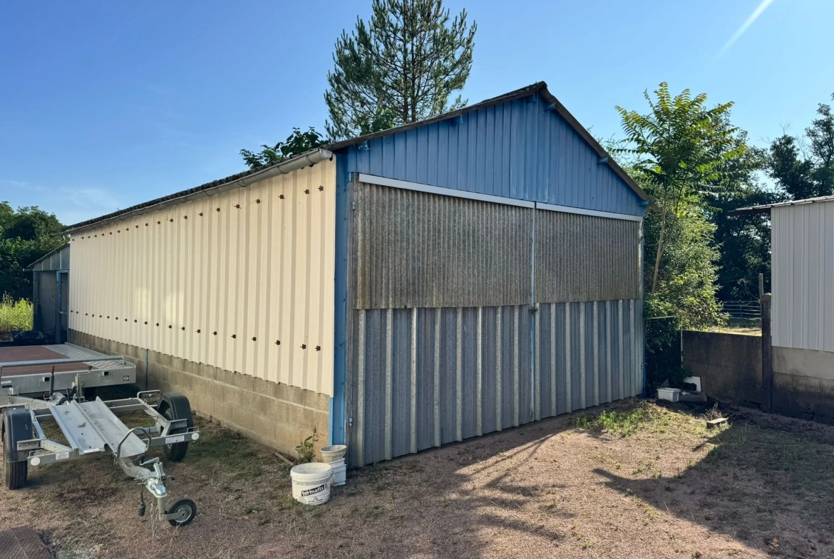 Maison à vendre à Saint-Yan avec grand terrain, véranda et sous-sol aménageable 