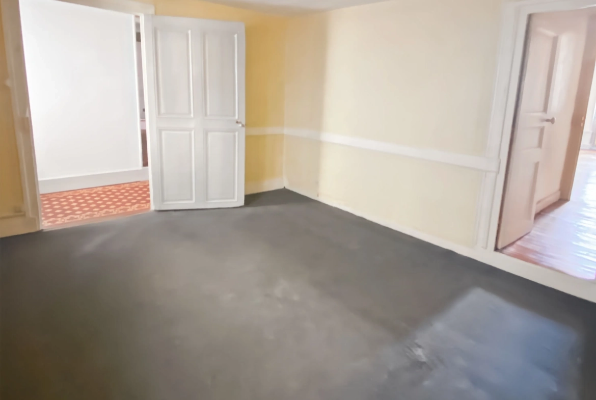 Appartement de caractère à Mâcon de 120 m² avec potentiel de rénovation 